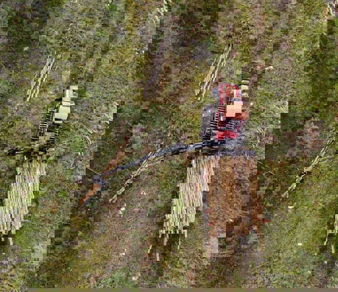 Drönarbild på skotare som lastar virke.